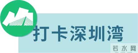 深圳3人被行拘！交警：罚！