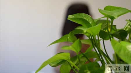 上海阿姨付18万律师费“促分手”？服务没有，钱不给退！已起诉立案！