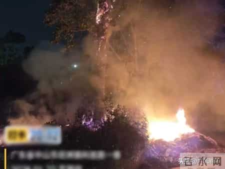 事发中山！深夜路边大树突然着火，快递小哥出手了