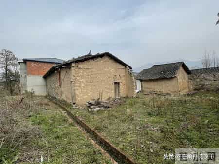 95年得知我准备去相亲，邻居的女儿连着三天来我家借盐，母亲笑了