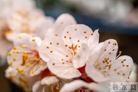 男人要治服一个女人，最有效的方式：两个字