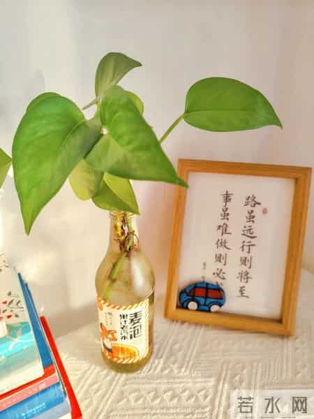 我发现人一定要瘦,瘦,瘦!