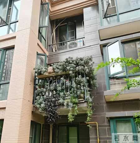 湖南一太太，因“多肉流下阳台”走红，网友：一泻千里真壮观！