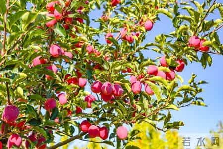 不是迷信，晚年这四个人家里别去，特别是最后一个人家里