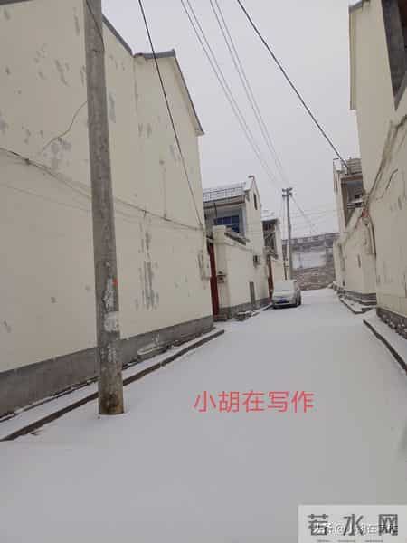 今天我光扫了扫自家门前的雪！我不愿意再去当一个盲目的好人！
