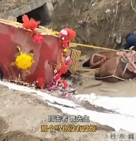 周口一对新郎新娘结婚坐马车发生意外，人和马都翻沟里了，上演现实版“人仰马翻”！目击者：新郎新娘未受伤