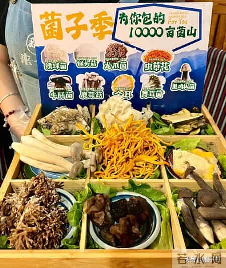 河北邢台一定要去的10家饭店！