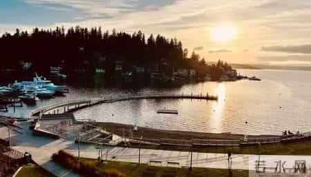 回国后我才敢说:真实的西雅图,和网上看到的完全是两个世界