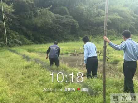 四会成功侦破一宗非法捕猎野生鸟类案件！