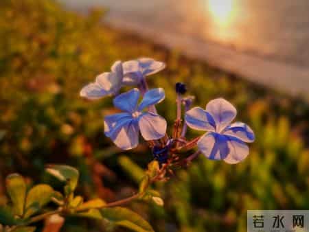 属猴的跟你说个实在的:特别是56年的猴