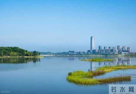 深圳人的五大怪习惯！外地人难接受，直呼 “太离谱”！