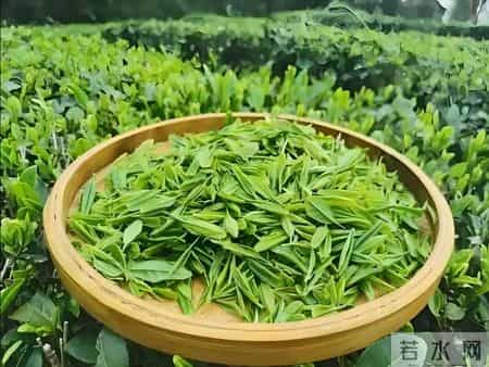 再这样喝茶，你的肝就废了！医生提醒：3种喝法，不养生反而伤身