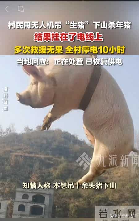 无人机吊猪下山挂电线上，致村庄停电10小时，已被立案
