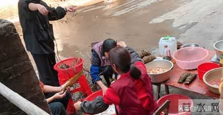 弟媳海外定居，婆婆住我家12年，寿宴上弟弟一句话让我红了眼