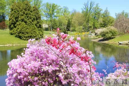 男性只要保持一种姿态，对女性具有极强吸引力