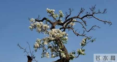 结婚23年她的内衣都是丈夫洗，在丈夫入狱后，她为夫还债三千万