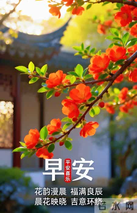 早安 ~ 今日的美好已装满：一缕阳光，一阵花香，满满好运。