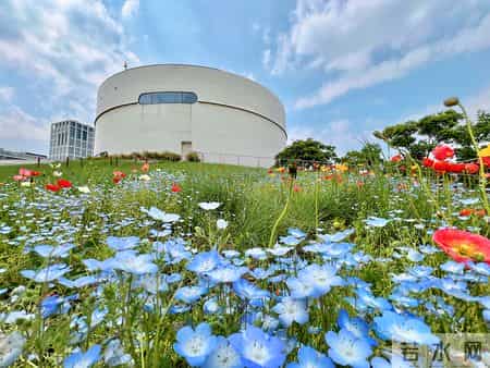 邓学平辩护词精选｜辅警不能单独执法，殴打辅警不构成妨害公务罪