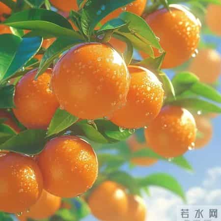 男人女人带财又顺利的头像