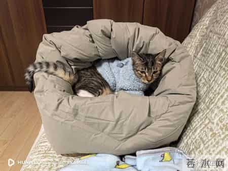 不穿的“羽绒服”千万别扔!学中年阿姨这样改造,一件都不会浪费