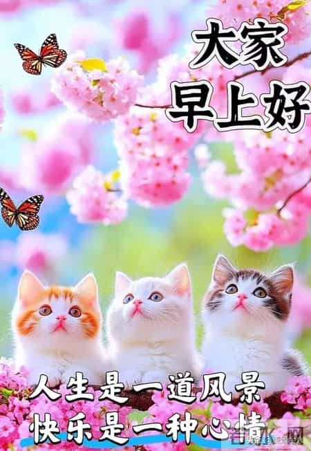 2026.01.27号周二早安祝福美图