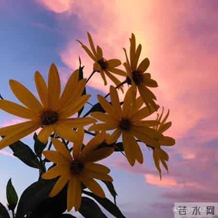 到了五十岁才明白，女人的“生理性喜欢”一生只有两次，别不信！