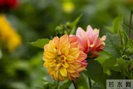 男人别错过！微信上女人发这3个表情，就是喜欢你的信号