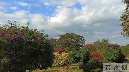 过来人的劝告:如果儿子没什么本事,千万别催婚