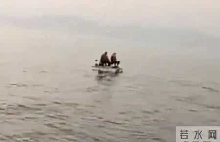 中年男子“手搓”小船载10岁儿子游太湖，怎料刚开出没多久“小船”就断电，二人被困湖心