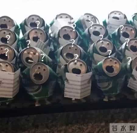 男子偶遇“一片被砍的竹子”，感觉被冒犯了，网友：谁的馊主意~