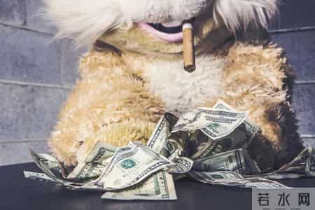 2月，狮子座的运势将会发生这些变化