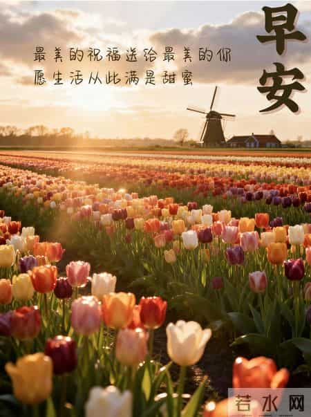 拿去，适合早上发的早安文案，太高级了～