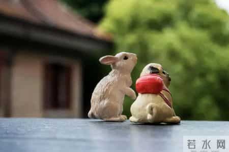 1975年属兔人：揭秘性格婚姻与命运起伏