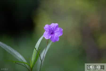 关东风雪情——走出婚姻的围城（179）