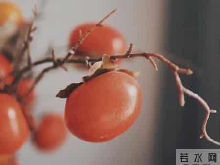 2026马年拜年，别再只说“新年快乐”了，这22句不俗套的祝福，心意直达