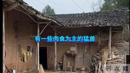 大案纪实－贵州森林白骨案