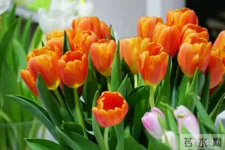 老太太谈男女那些事，太通透了！实在太精辟！