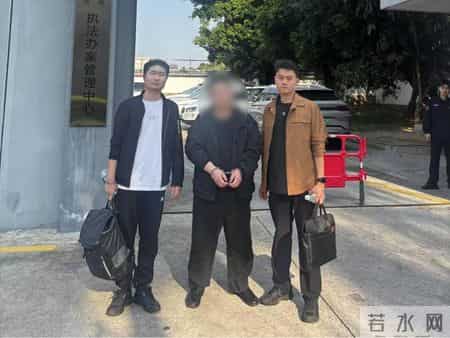 涉案金额4600万元，武某等3人被依法逮捕！