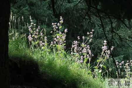女人同意摸手意味着什么？不仅是信任，更是想让你走进她心里！