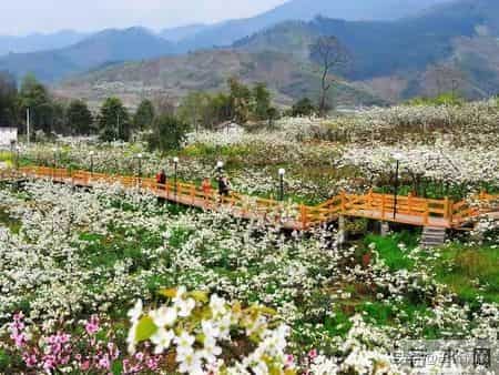 2026的马年，大年初一最不能穿的5种衣服！