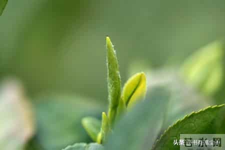 夫妻之间，男人越喜欢凶你，越记住这五句真理，你就赢了