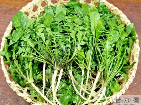 男人肝好就强壮，女人肝好就漂亮，这3种“养肝菜”，建议要多吃