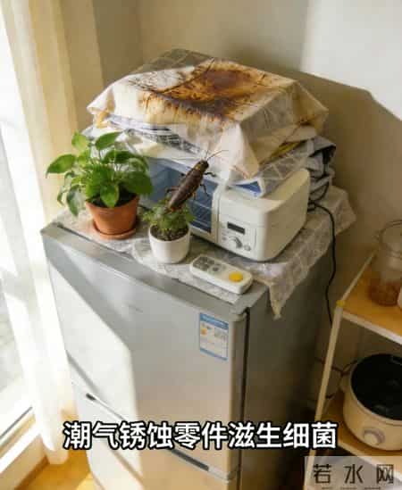 老电工提醒:冰箱顶不能放这3种东西,不仅费电还会影响冰箱寿命