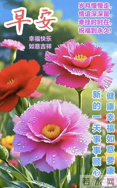 早安 ~ 今日的美好已装满：一缕阳光，一阵花香，满满好运。