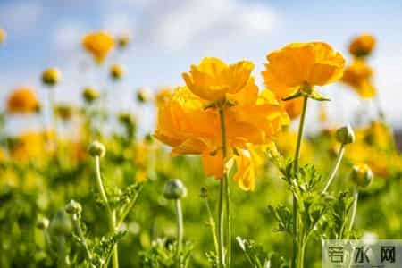 我生病住院让儿子垫付2万，儿子沉默儿媳说没钱，我心中有了决定