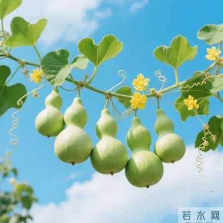 平平安安的微信头像