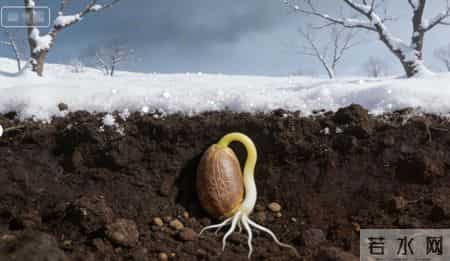 玄学提醒：尽量不要跟身边任何人，包括你的父母妻儿，分享这3件事