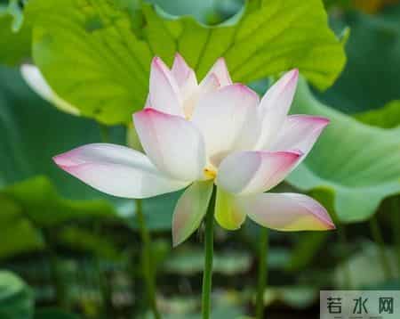 你要明白，男人只有和不喜欢的女人，才会这么相处，没人说但你要懂