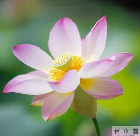 你要明白，男人只有和不喜欢的女人，才会这么相处，没人说但你要懂