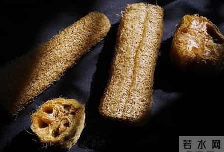 丝瓜络煮水竟有这么多好处，你知道吗